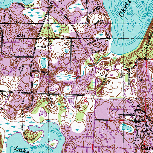 Topographic Map of Curry Farms Park, MN