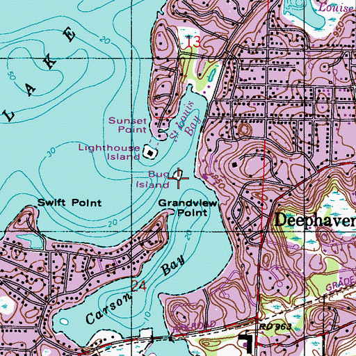 Topographic Map of Bug Island, MN