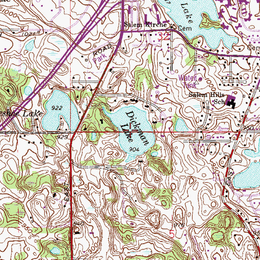 Topographic Map of Dickman Lake, MN