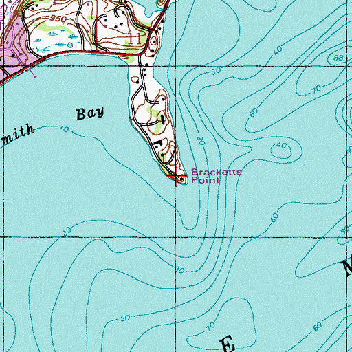 Topographic Map of Bracketts Point, MN