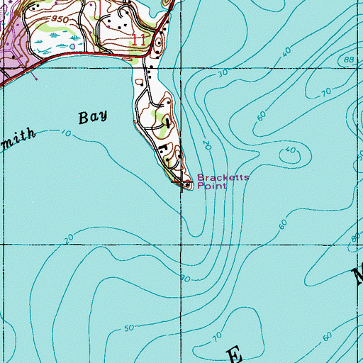 Topographic Map of Bracketts Point, MN