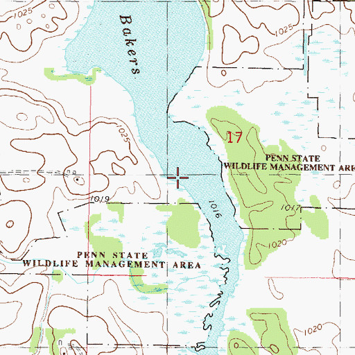 Topographic Map of Bakers Lake, MN