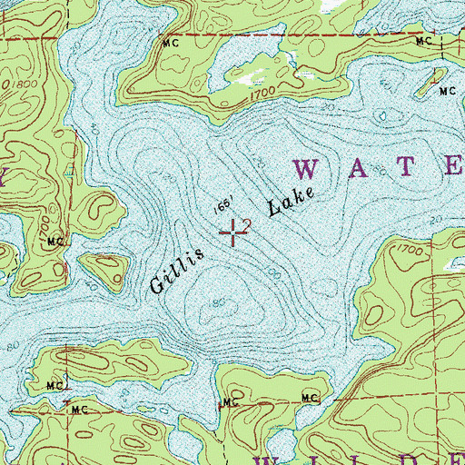 Topographic Map of Gillis Lake, MN