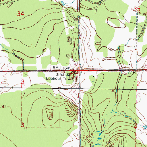Topographic Map of Birchdale Lookout Tower, MN