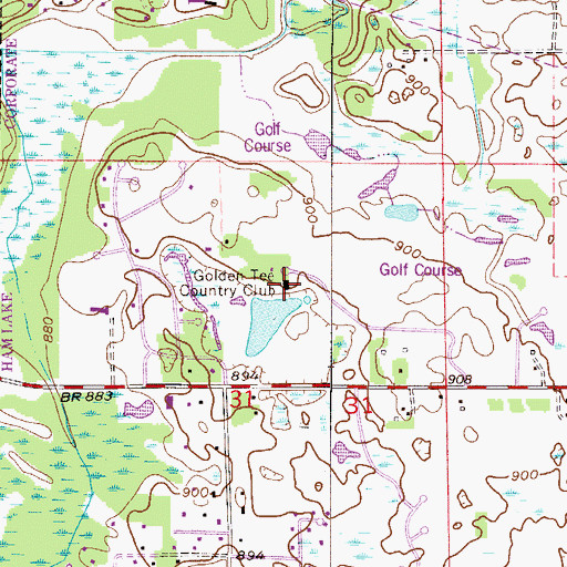 Topographic Map of Golden Tee Country Club, MN