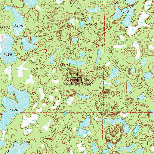 Topographic Map of Spider Lake Lookout Tower, MN