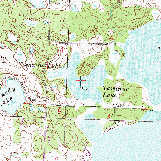 Topographic Map of Tamarac Lake, MN