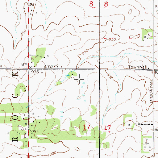 Topographic Map of Nielsen's Airport, MN
