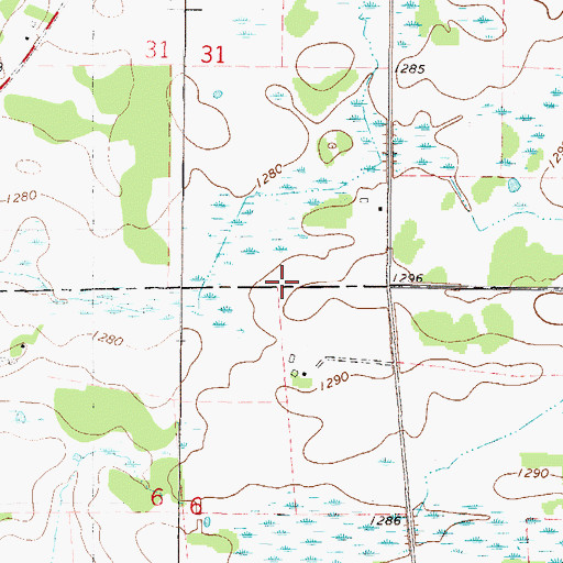 Topographic Map of F. Dillenburg Airport (historical), MN