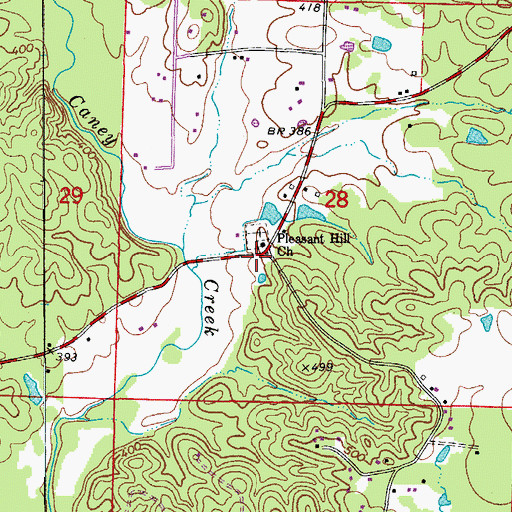 Topographic Map of Pleasant Hill School (historical), AR
