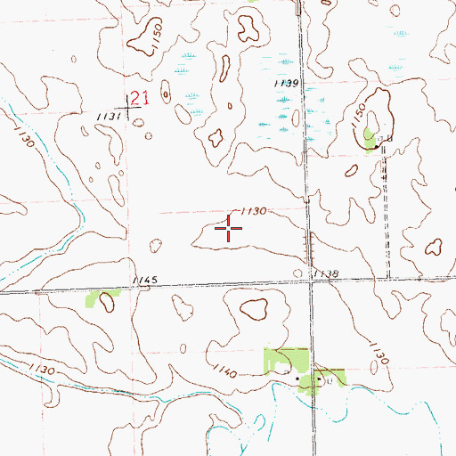Topographic Map of Koch's Personal Field, MN