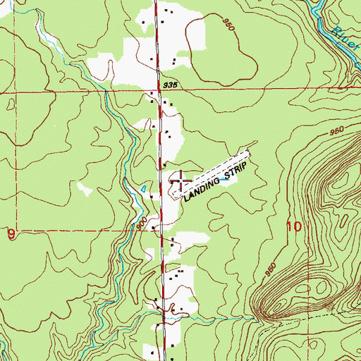 Topographic Map of Weideman International Airport, MN