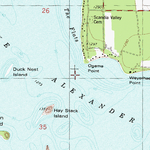 Topographic Map of Lake Alexander, MN