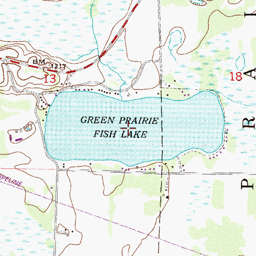Topographic Map of Green Prairie Fish Lake, MN