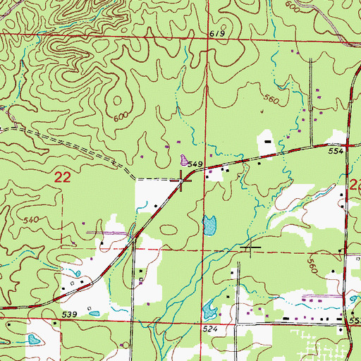 Topographic Map of Tatumville (historical), AR