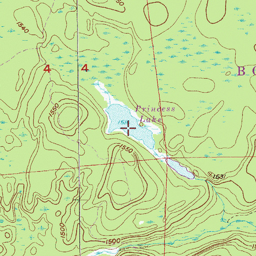 Topographic Map of Princess Lake, MN