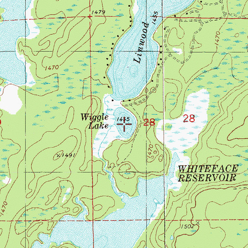 Topographic Map of Wiggle Lake, MN