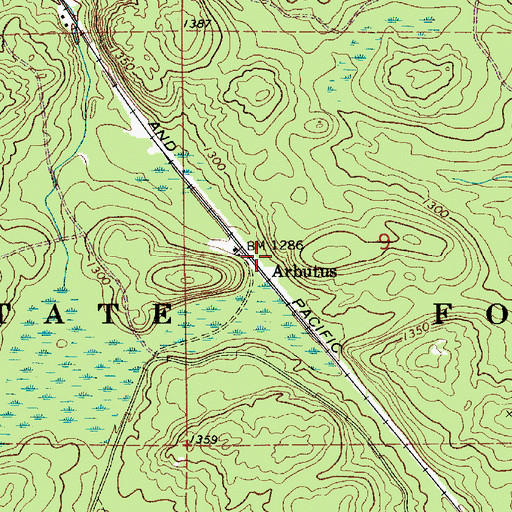 Topographic Map of Arbutus, MN