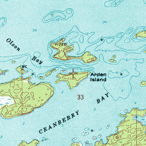 Topographic Map of Arden Island, MN