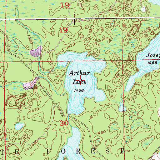 Topographic Map of Arthur Lake, MN