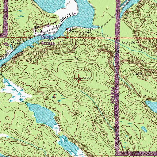 Topographic Map of Ash River Lookout Tower, MN