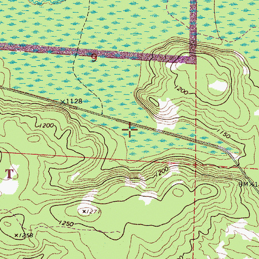 Topographic Map of Ash River Trail, MN