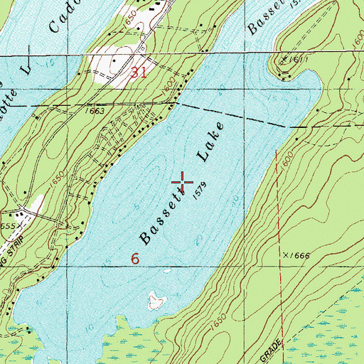Topographic Map of Bassett Lake, MN