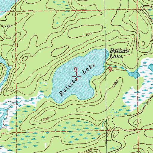 Topographic Map of Batista Lake, MN