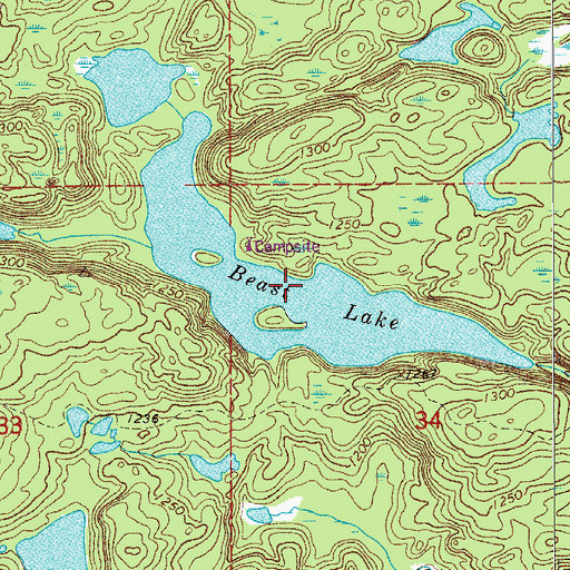 Topographic Map of Beast Lake, MN