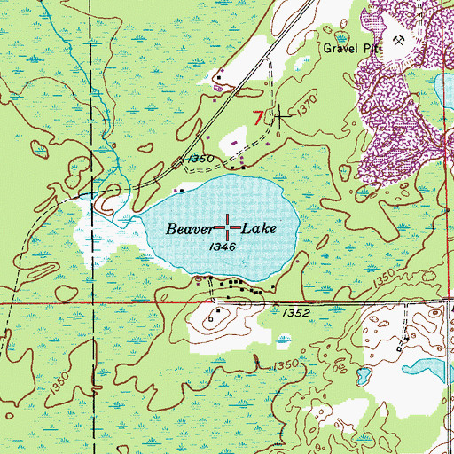 Topographic Map of Beaver Lake, MN