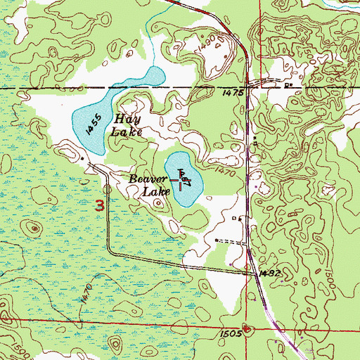Topographic Map of Beaver Lake, MN