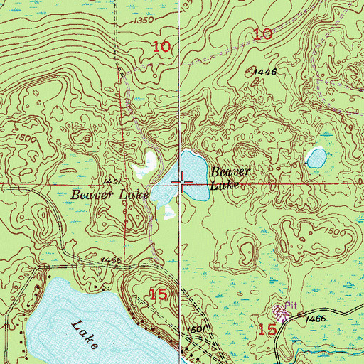 Topographic Map of Beaver Lake, MN