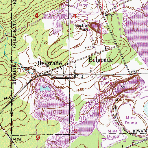 Topographic Map of Belgrade, MN