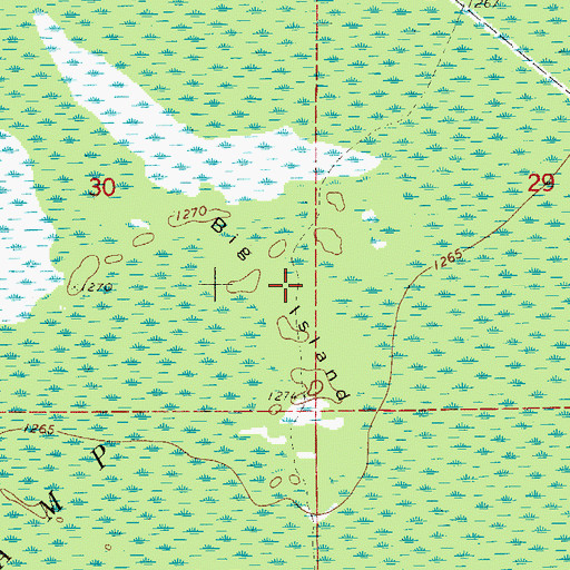 Topographic Map of Big Island, MN