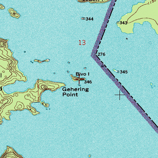 Topographic Map of Bivo Island, MN