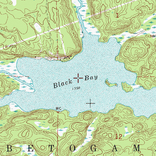 Topographic Map of Black Bay, MN
