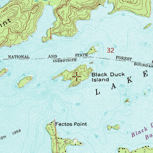 Topographic Map of Black Duck Island, MN