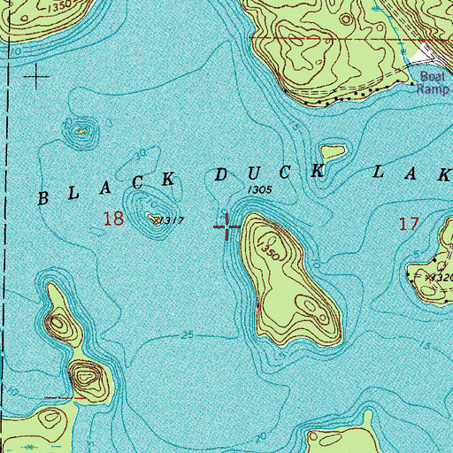 Topographic Map of Black Duck Lake, MN