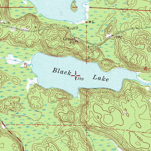 Topographic Map of Black Lake, MN