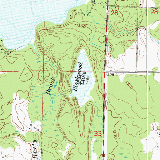 Topographic Map of Blackwood Lake, MN