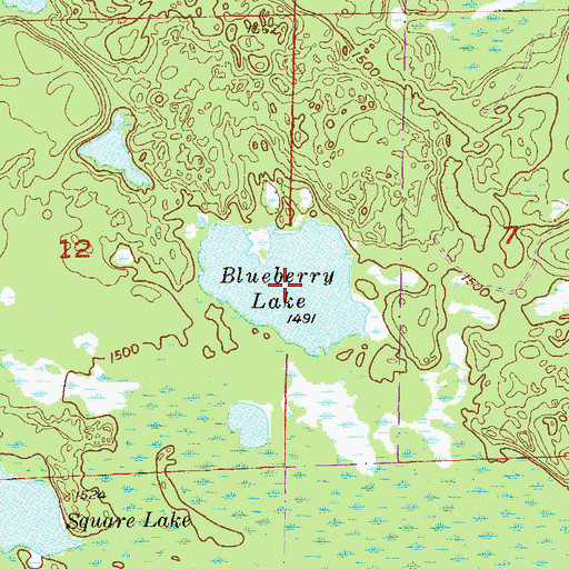 Topographic Map of Blueberry Lake, MN