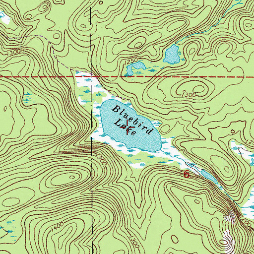 Topographic Map of Bluebird Lake, MN