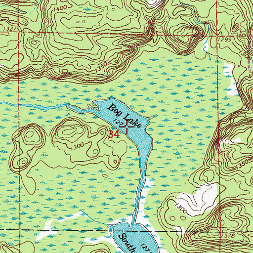 Topographic Map of Bog Lake, MN