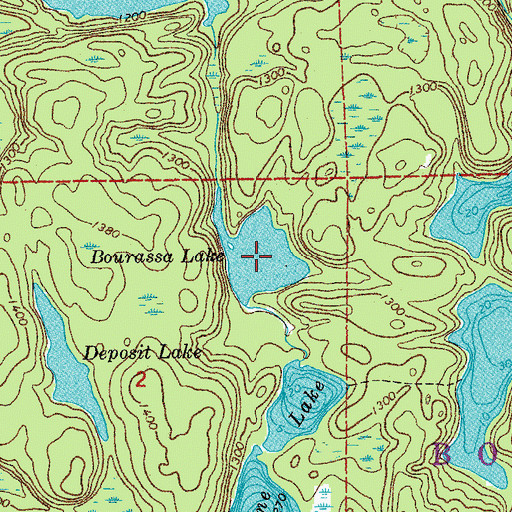 Topographic Map of Bourassa Lake, MN
