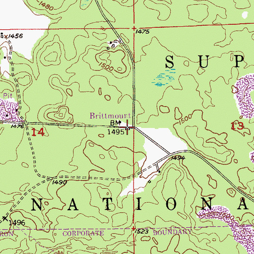 Topographic Map of Brittmount, MN