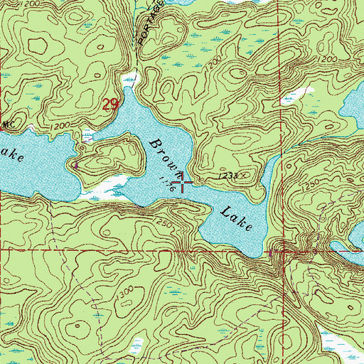 Topographic Map of Brown Lake, MN