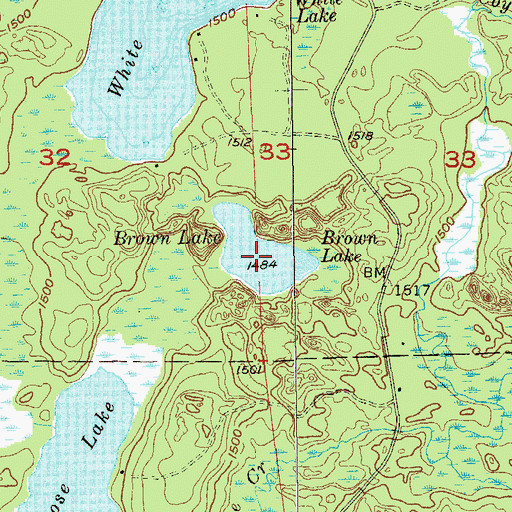 Topographic Map of Brown Lake, MN