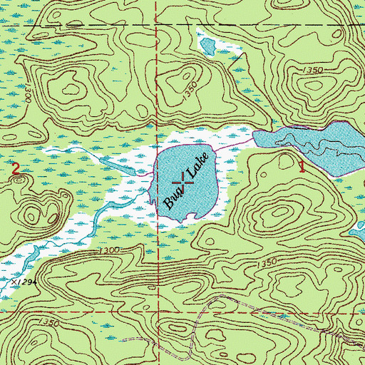 Topographic Map of Bug Lake, MN