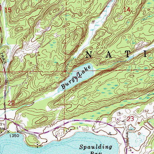 Topographic Map of Burgo Lake, MN