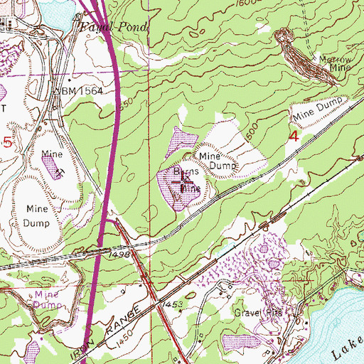 Topographic Map of Burns Mine, MN